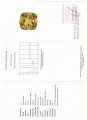 Cytryn okaz kamień naturalny 141.24ct certyfikat