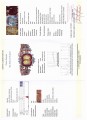 925 bransoletka cytryny rubiny cyrkony certyfikat