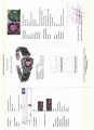 Bracelet natural emeralds 925 ametrine