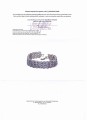 Natural tanzanite 925 silver bracelet 12