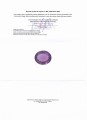 Ametyst kamień naturalny 47.75ct certyfikat