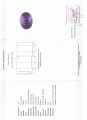 Ametyst kamień naturalny 32.76ct certyfikat