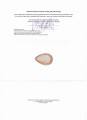 Cytryn kamień naturalny 85.99ct certyfikat