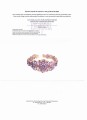 Silver bracelet amethyst 925 sapphires 3 IF
