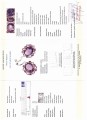 Kolczyki 73ct ametryny ametysty szafiry certyfikat