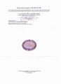 Ametyst kamień naturalny 16.72ct certyfikat