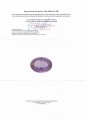 Ametryn 13.17ct kamień naturalny certyfikat