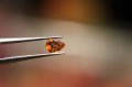 Szafiry kamienie naturalne 3.60ct 11szt