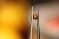 Szafiry kolorowe kamienie naturalne 35szt 9.20ct
