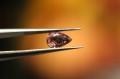 Naturalne kamienie turmaliny 2.65ct 3szt