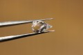 Topazy białe kamienie naturalne 7.0ct 6szt