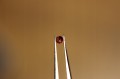 Szafiry kamienie naturalne 6.20ct 123szt