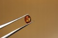 Szafiry kamienie naturalne 6.00ct 26szt