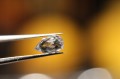 Białe topazy kamienie naturalne 12.00ct 9szt
