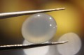 Chalcedon kamień naturalny 8.65ct