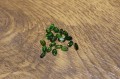 Diopsydy kamienie naturalne IF - VVS 4.9ct 20 sztuk