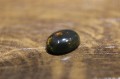Opal czarny kamień naturalny 0.87ct IF AAA