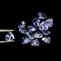 Tanzanity 14 sztuk kamienie naturalne VVS 4.14ct
