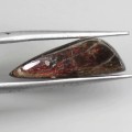 Amolit ammolit kamień naturalny 4.21 ct 20 x 7 x 4 mm