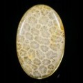 Srebrny pierścionek koral skamielina fossil r 16