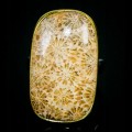 Srebrny pierścionek koral skamielina fossil r16