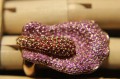 Ring Sapphires Songea, silver 925, size 14