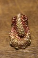 Pierścionek szafiry songea padparadża r13.5
