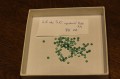 Szmaragd kamień naturalny 2.6-3.0x1.4-2.0mm 65szt 7.45ct