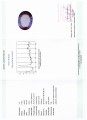 Ametyst kamień naturalny IF 81.26ct certyfikat