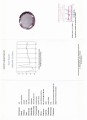Amethyst natural stone VVS 81.52 ct museum