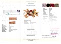 Broszka złoto 14k szafiry naturalne certyfikat