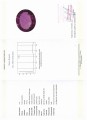 Ametyst kamień naturalny 74.47ct certyfikat