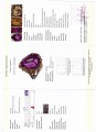 Amethyst ring, 50.39 ct, silver, sapphires size 16